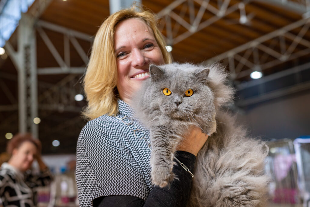 Experten geben Tipps, wie Sie das Wohlbefinden Ihrer Katze fördern können. © EXOTICA Veranstaltungen GmbH/APA-Fotoservice/Schedl