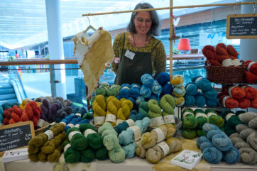 Am Wienerberg werden bald “Wollträume“ wahr