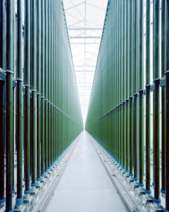 Algenfarm, Bruck an der Leitha, Österreich, 2023 © Gregor Sailer