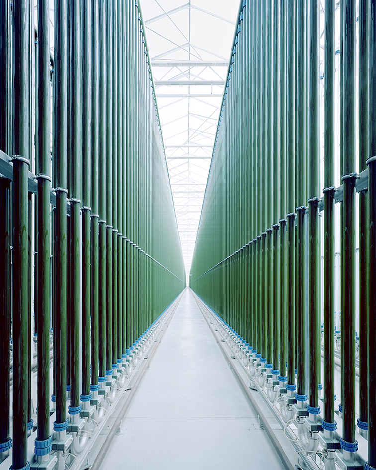 Algenfarm, Bruck an der Leitha, Österreich, 2023© Gregor Sailer