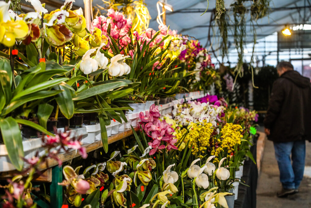 30 fachkundige Aussteller sind vertreten - die Besucher erwartet ein buntes Farbenmeer an Exotik. © Stadt Wien/Fürthner