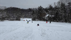 Jetzt heißt es: Auf nach Hietzing, weil Rodeln ist das leiwandste