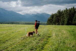 Fit in den Frühling: Tipps für mehr Schwung im Alltag