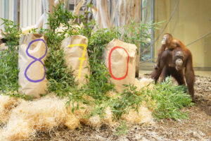 Reverse the Red Day: Der Zoo im Dienst des Artenschutzes