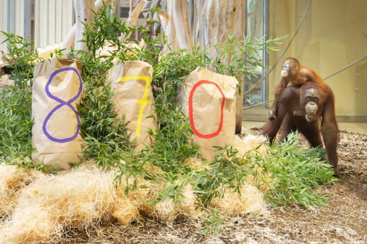 Reverse the Red Day: Der Zoo im Dienst des Artenschutzes