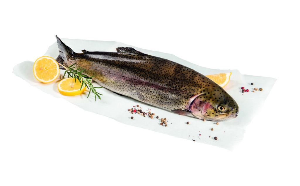 SPAR-PREMIUM-Lachsforelle