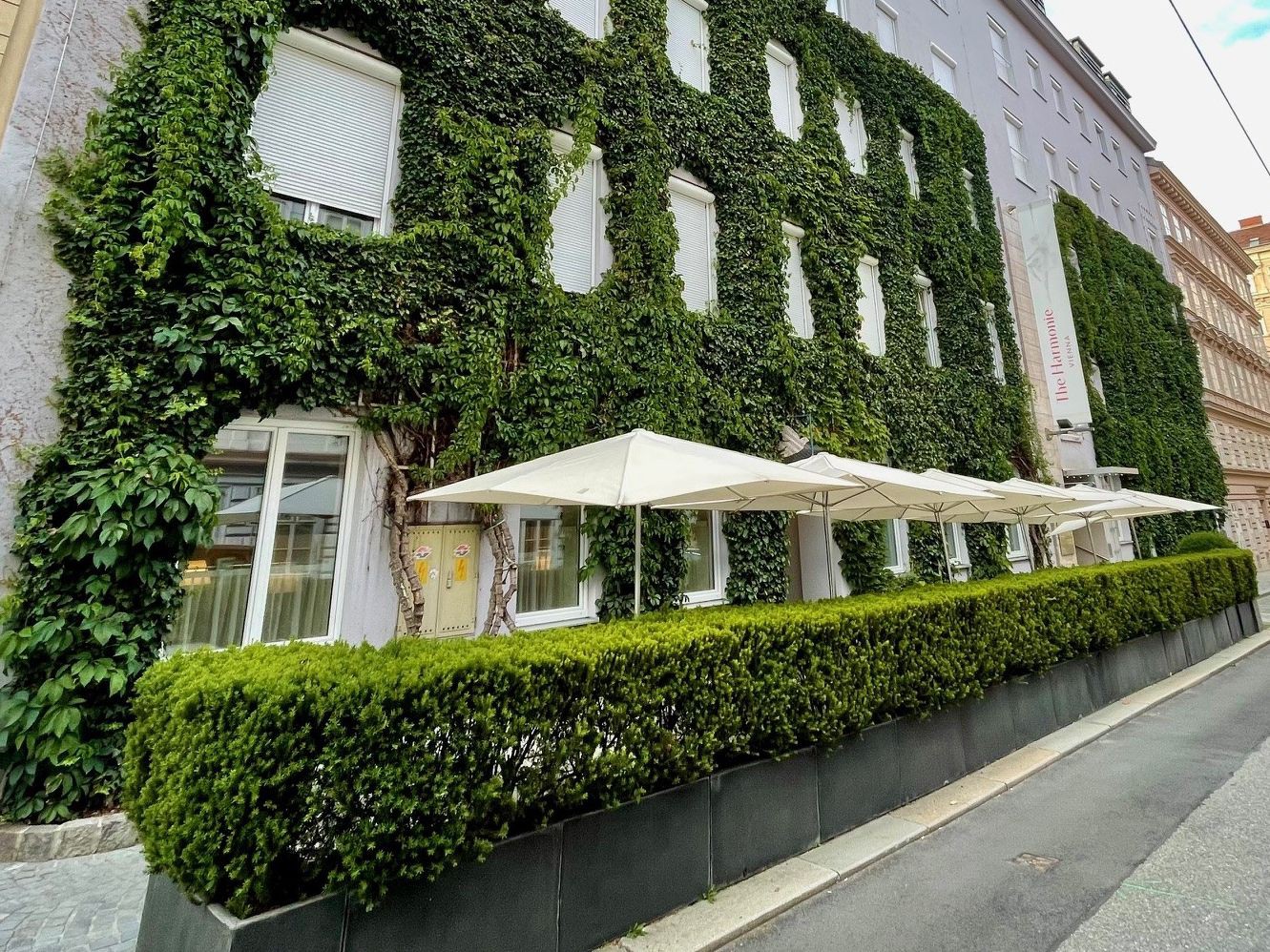 Kostenlose Erstberatungen: So wird Wien jetzt noch grüner