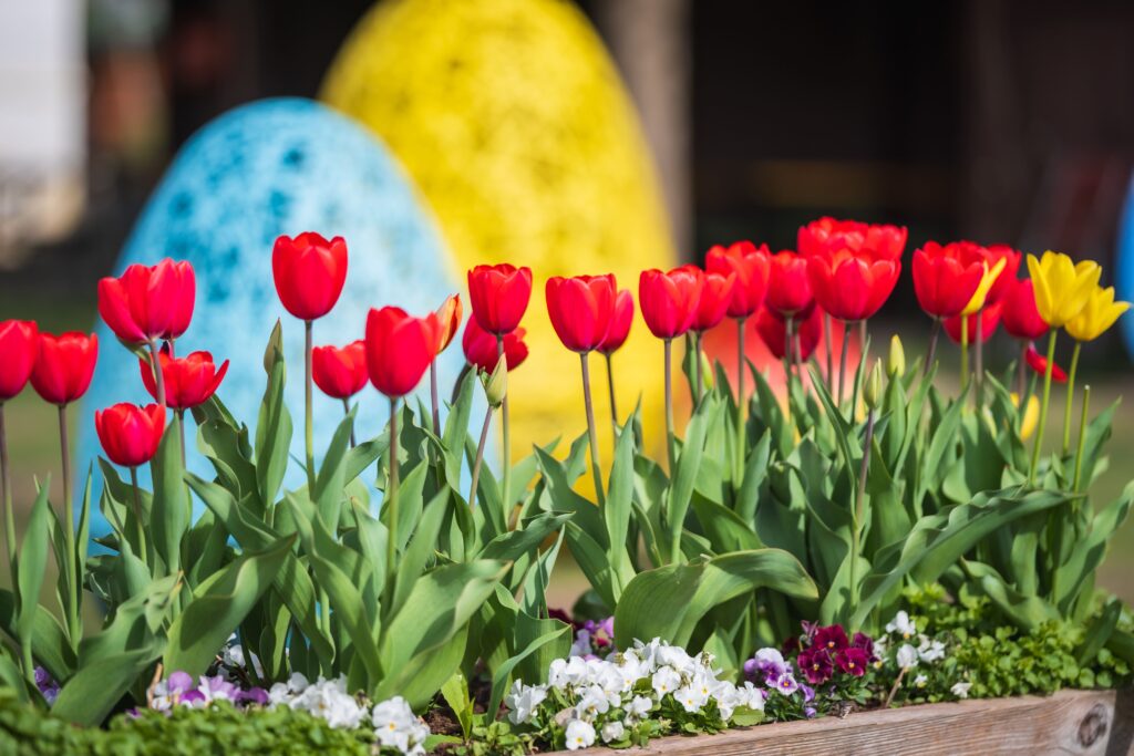 Blütenpracht und Osterdekoration laden ein, den Frühling zu begrüßen. © Stadt Wien/ Bohmann