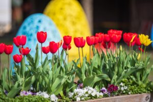 Blütenpracht und Osterdekoration laden ein, den Frühling zu begrüßen. © Stadt Wien/ Bohmann