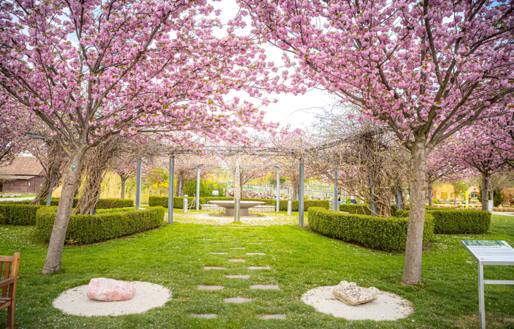 Traumhafte Ausblicke bei einem Spaziergang. © Stadt Wien/ Houdek