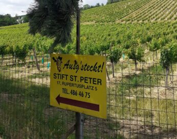 Ausg’steckt is: Buschenschank St. Peter bald wieder geöffnet