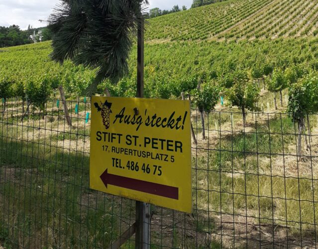 Ausg’steckt is: Buschenschank St. Peter bald wieder geöffnet