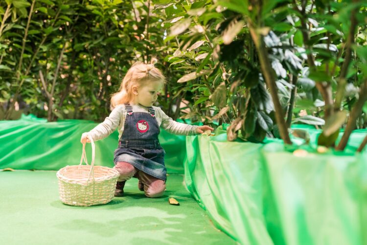 Hoppeln, suchen, naschen: Osterparty im Huma Eleven