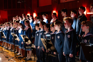 Vienna Gold Noise: Wiens Klanggeheimnis für besseren Schlaf