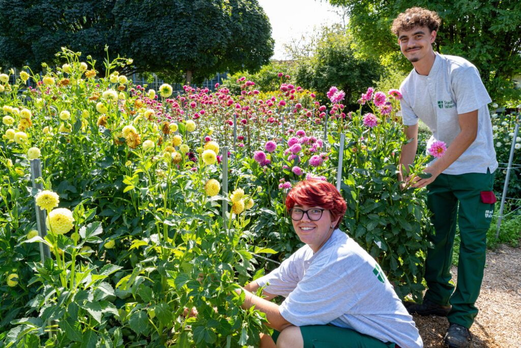 Traumjob in der Natur: Am 28. Mai kann man vor Ort bei „Klimafit in die Zukunft“ grüne Lehrberufe direkt ausprobieren. © Wiener Stadtgärten/Jandl