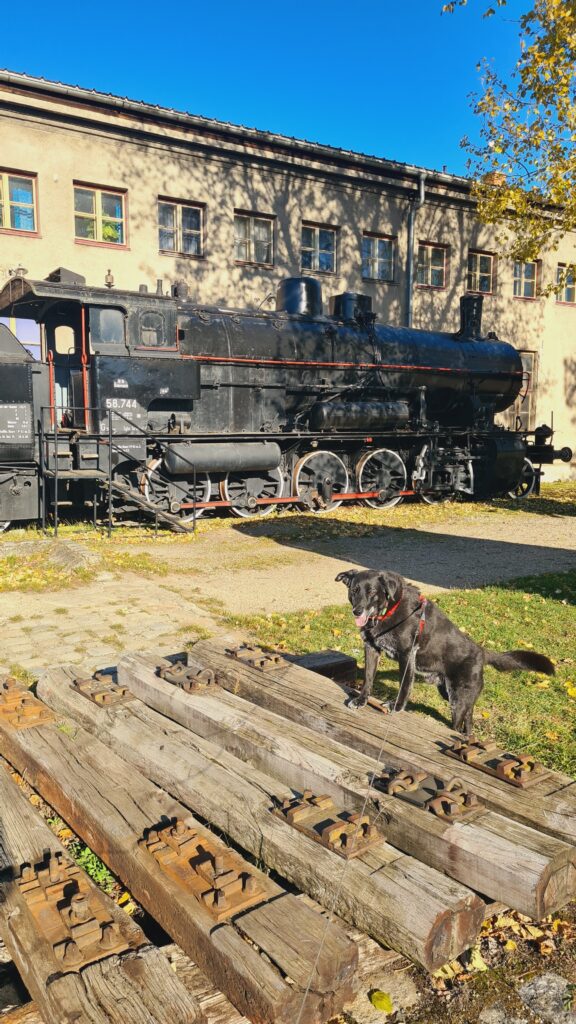 Lieblingsplätze mit Hund in und um Wien_Das Heizhaus – Eisenbahnmuseum Strasshof Seite 100