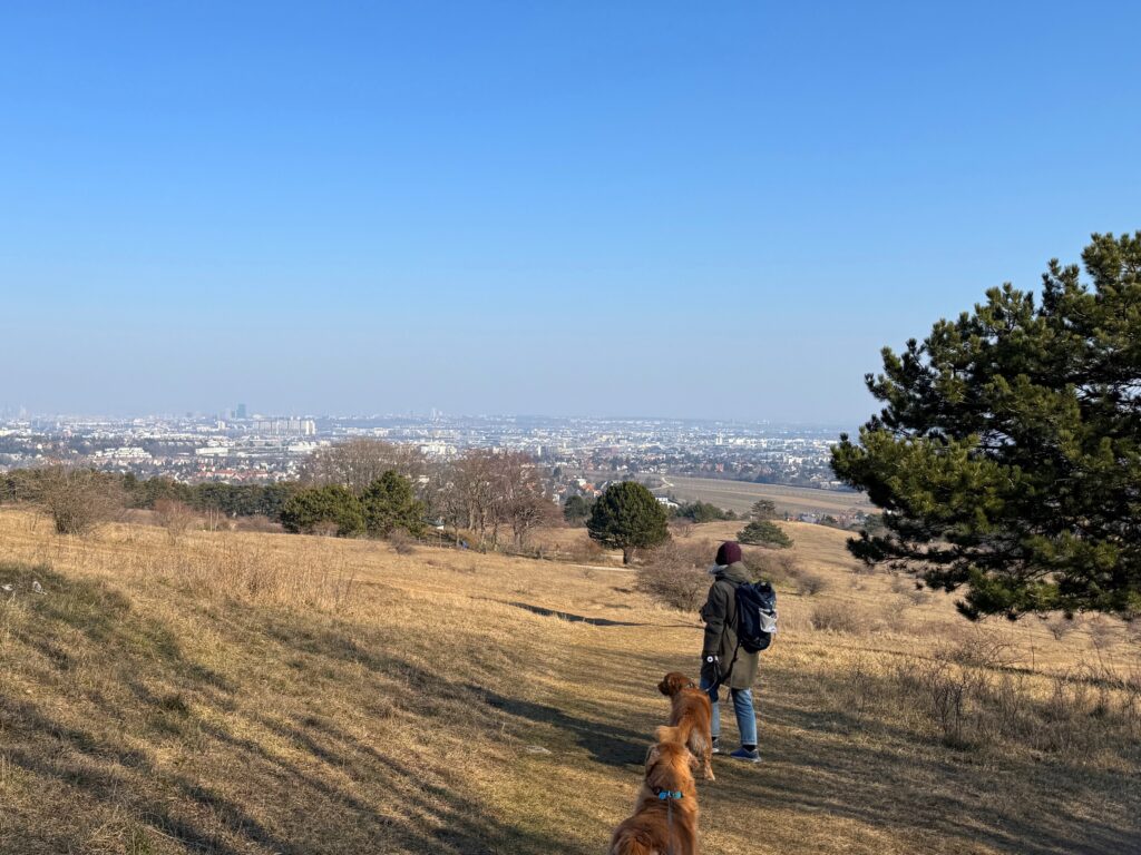 Lieblingsplätze mit Hund in und um Wien_Perchtoldsdorfer Heide_Seite 116