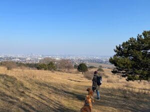 Lieblingsplätze mit Hund in und um Wien_Perchtoldsdorfer Heide_Seite 116