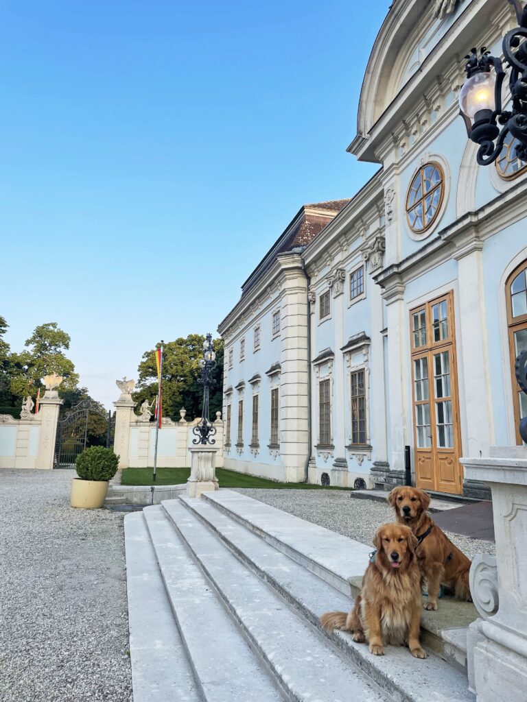 Lieblingsplätze mit Hund in und um Wien_Halbturn_Seite160