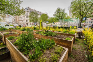 Grünes Grätzlleben: Bennogarten lädt zum Mitmachen ein