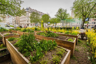 Grünes Grätzlleben: Bennogarten lädt zum Mitmachen ein