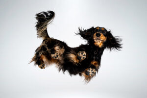 Chaluk Fotostudio begeistert mit Iris- und Upside-Down-Shootings