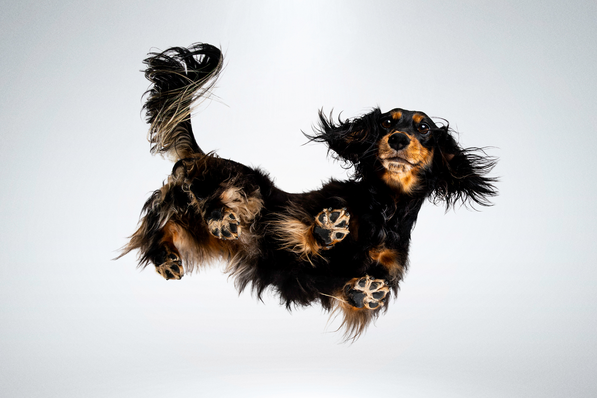 Chaluk Fotostudio begeistert mit Iris- und Upside-Down-Shootings