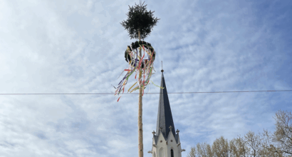 „AUFG’STELLT IS“ in Hietzing: Alles neu macht der Mai(baum)