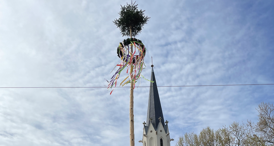 „AUFG’STELLT IS“ in Hietzing: Alles neu macht der Mai(baum)