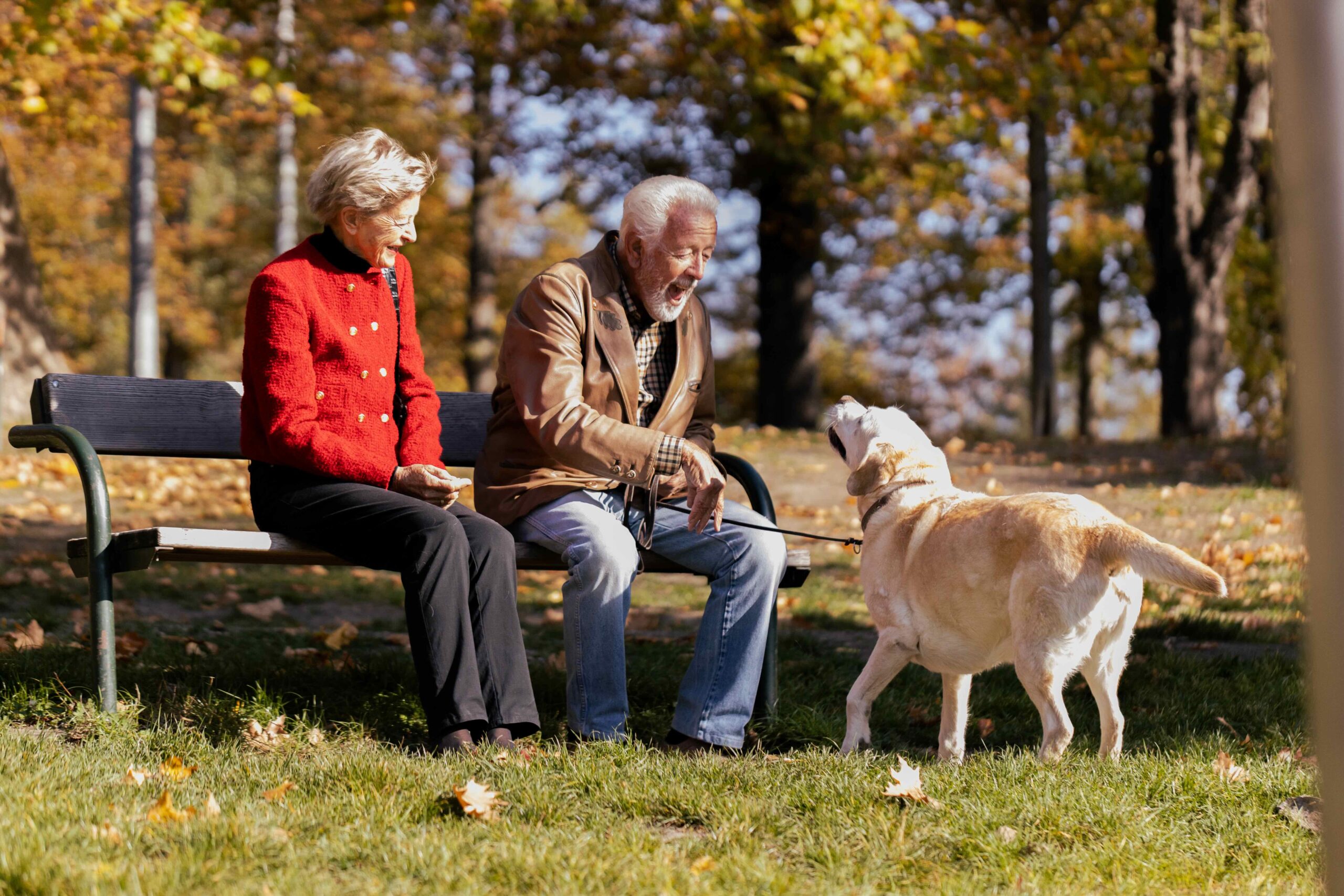 Mehr Lebensfreude im Alter dank Hund, Katze & Co.