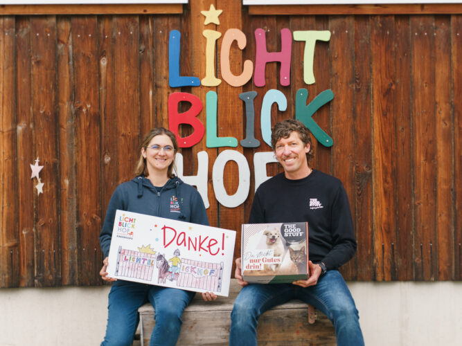 Tierliebe, die hilft: Spende für Katzen im Lichtblickhof