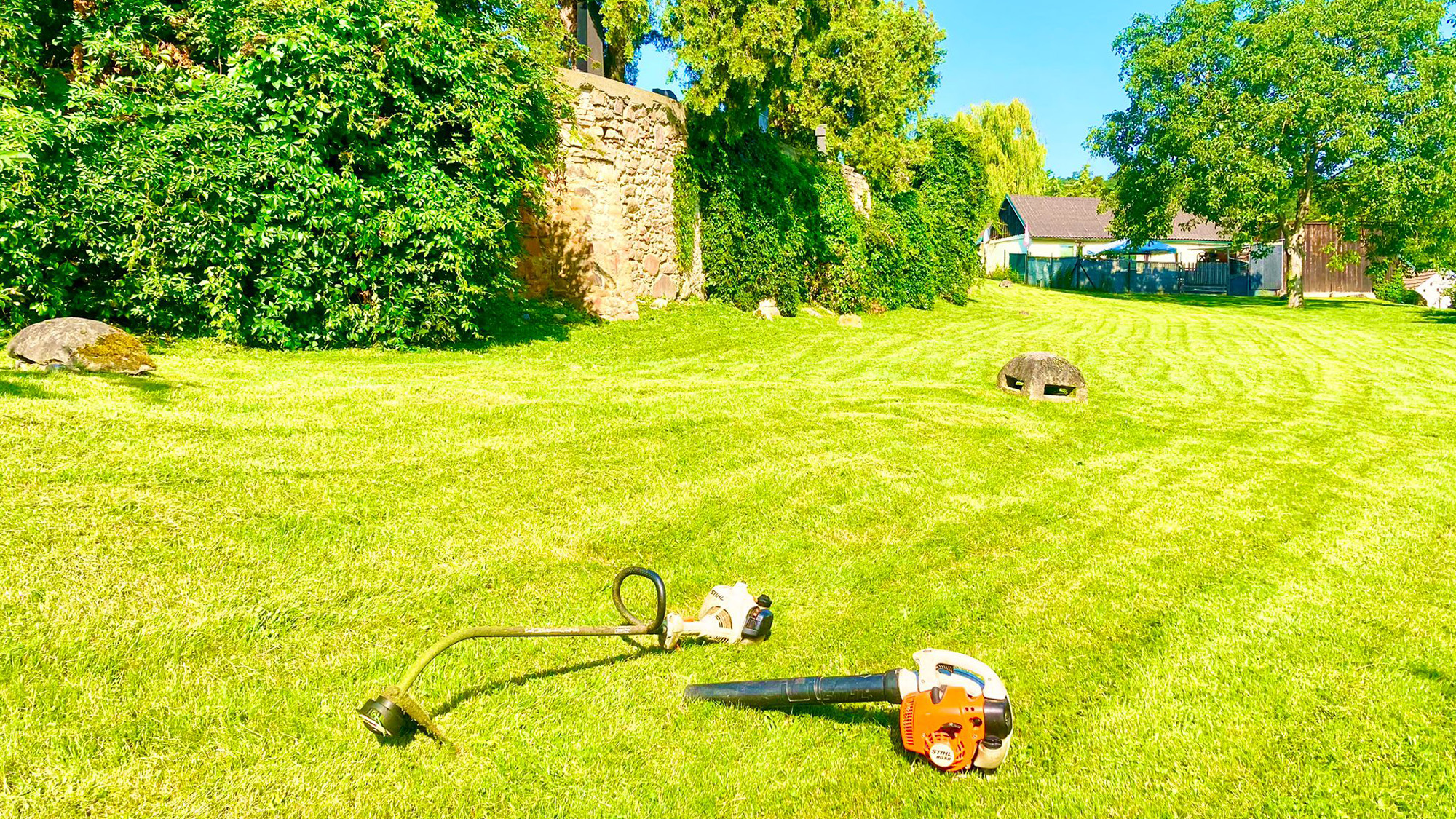 Nachhaltige Gartenpflege: Empfehlung von Hofmann Günter