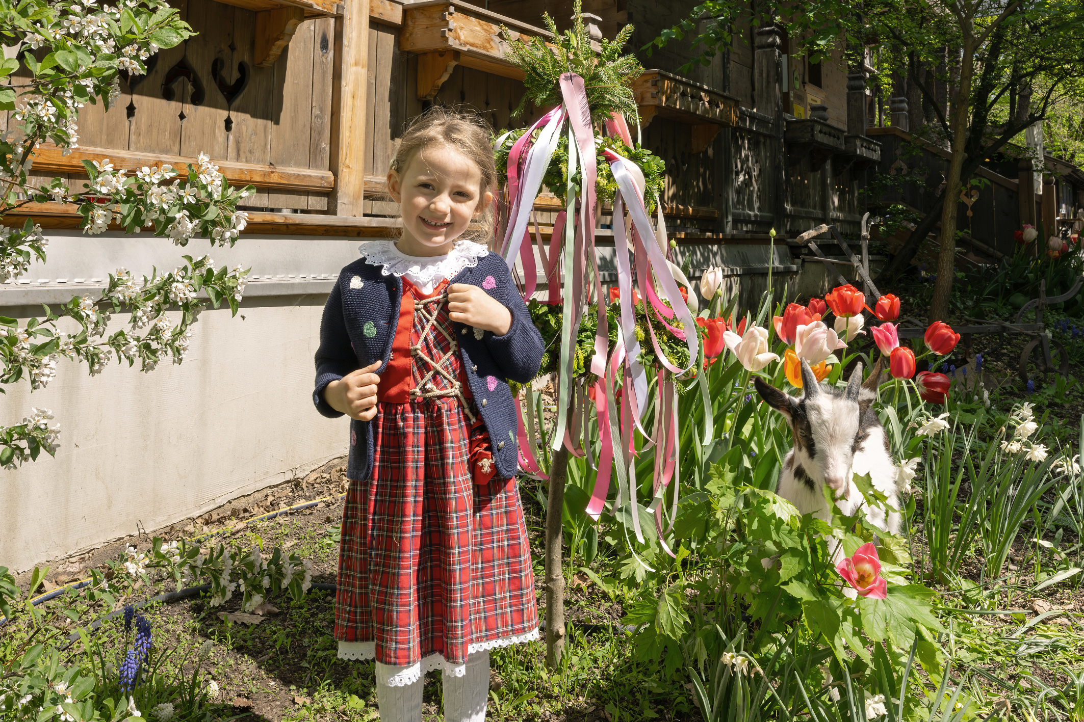 Landleben mitten in der Stadt: Maibaum-Fest am Tirolerhof