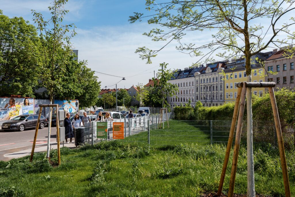 Der neue Gemeinschaftsgarten beim Bahnhof Breitensee (Bild: Daniel Dutkowski).