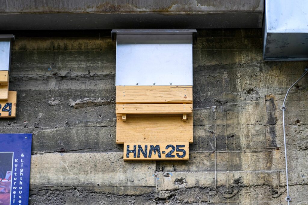 Das neue Fledermaus-Quartier an der Außenfassade (Bild: Haus des Meeres).