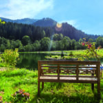 Chalets Frein