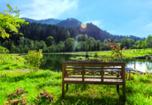 Sommerfrische in den Frein Chalets: Naturgenuss mit Alpakas und Bergluft Chalets Frein