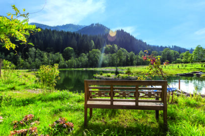 Sommerfrische in den Frein Chalets: Naturgenuss mit Alpakas & Bergluft