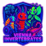 Vienna Invertebrates
