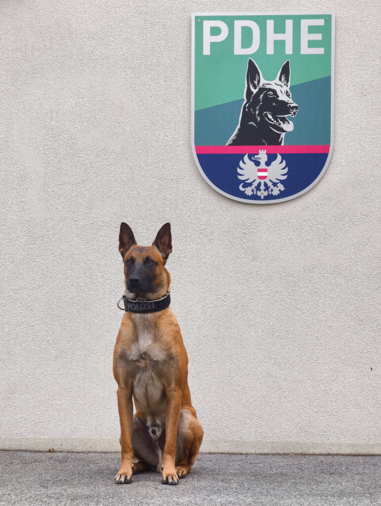 Orlik, der tierische Kommissar (Bild: LPD Wien).