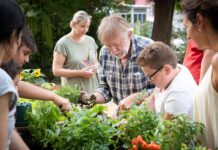 Hier wachsen Blumen, Gemüse und Freundschaften Generationentreff Hofferplatz