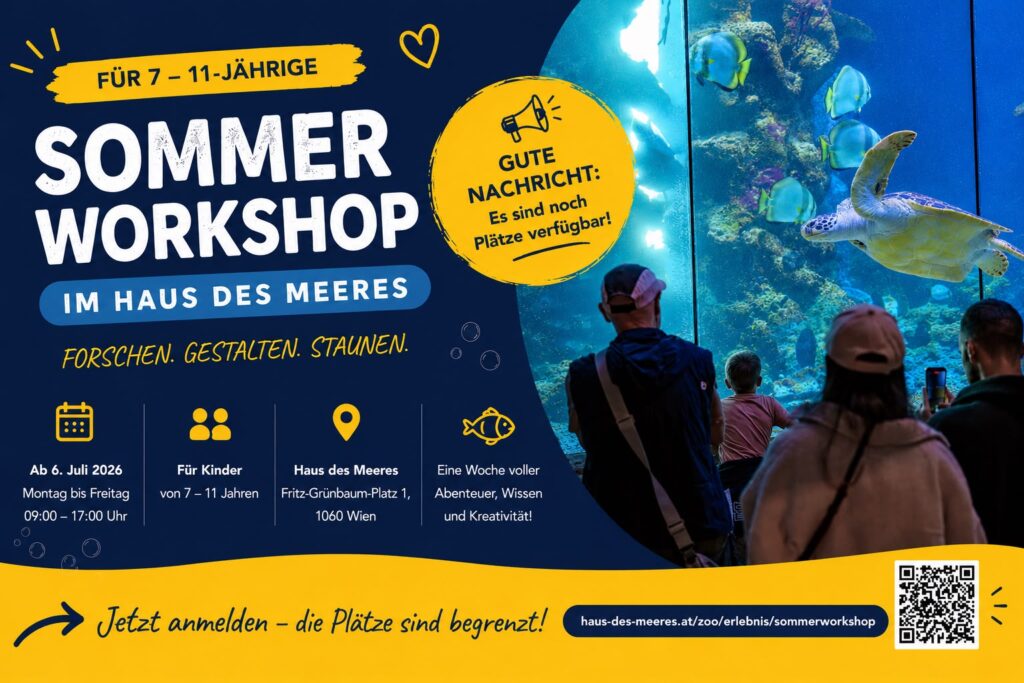 Sommerworkshop im Haus des Meeres