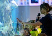 Haus des Meeres: Tiere hautnah entdecken Sommerworkshop Haus des Meeres