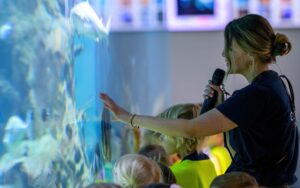 Sommerworkshops im Haus des Meeres für junge Entdecker