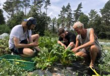 Gutes essen und tun: Bio-Hofkiste der VinziRast am Land Bewohner der VinziRast am Land stellen das Bio-Hofkisterl zusammen. © Renate Hornstein