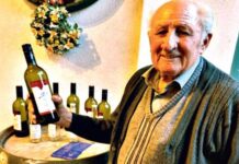 Weinbau Pionier aus Stammersdorf verstorben Leopold Klager