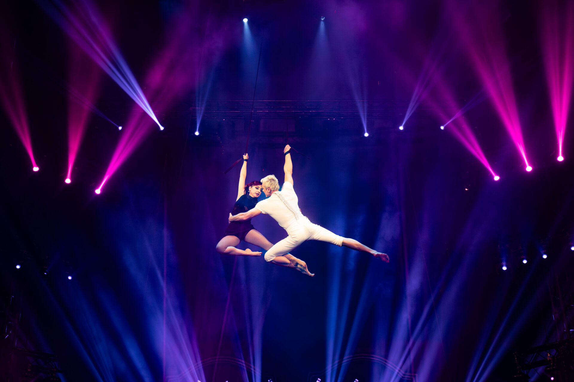 Circus Louis Knie