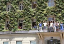 Es grünt so grün an der Fassade der Universität Die begrünte Fassade der Technischen Uni (Bild: TU Wien).