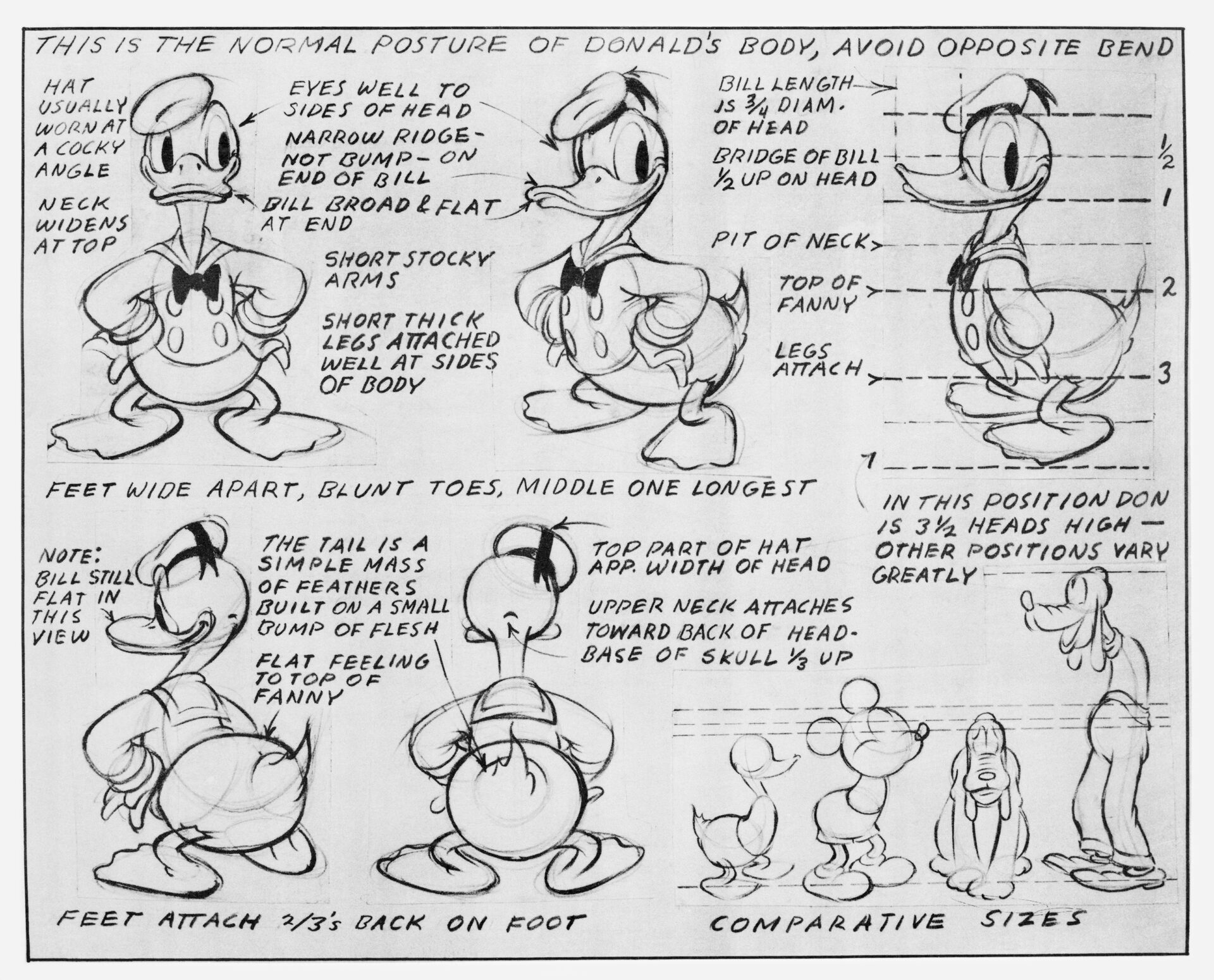 Donald Duck