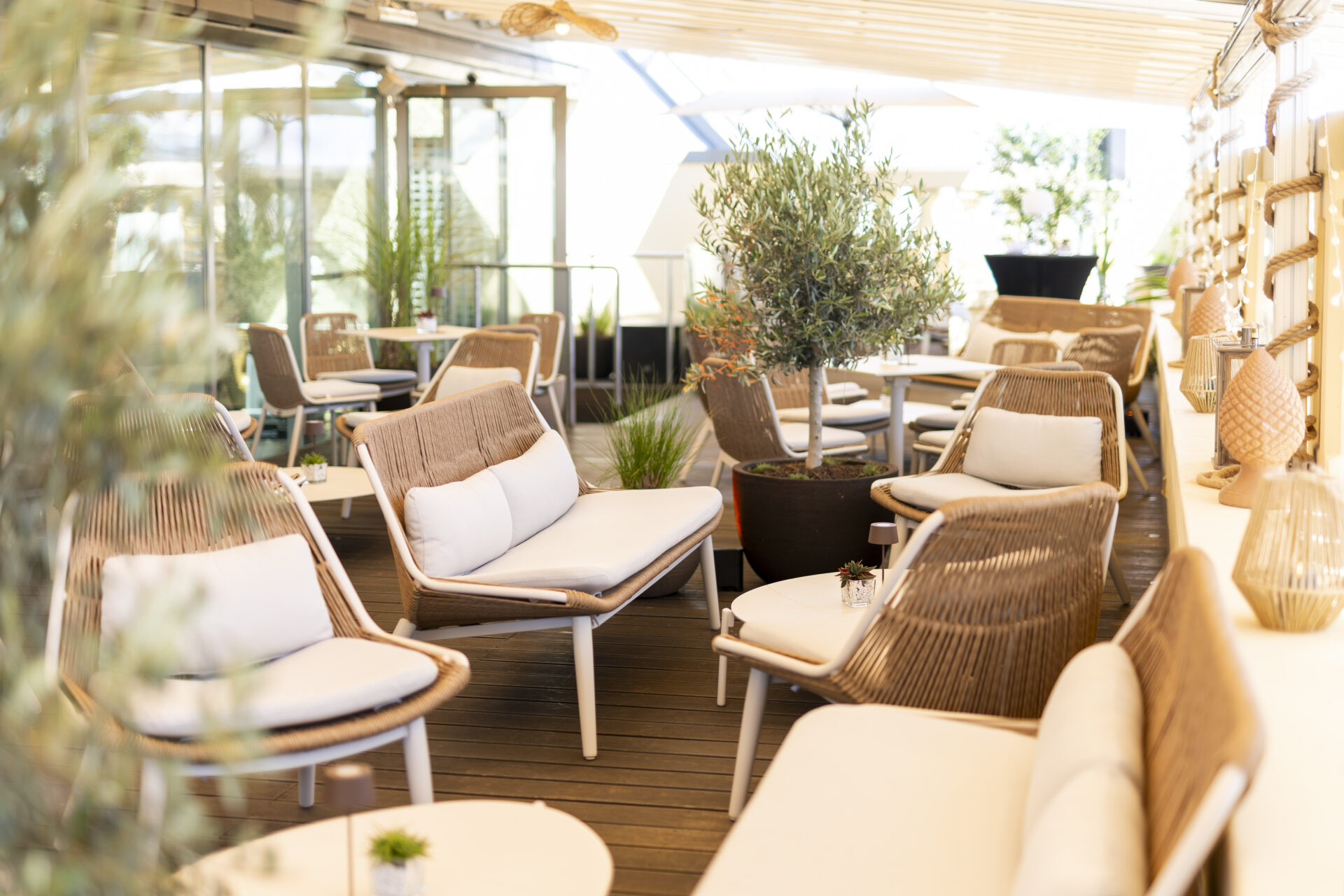 Barfly´s Rooftop Bar